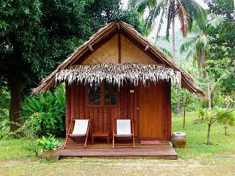 Jungle Club
