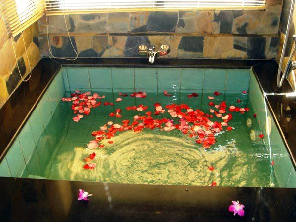 Birds and Bees Resort Pattaya