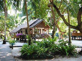 Seafan Beach Resort Koh Samui