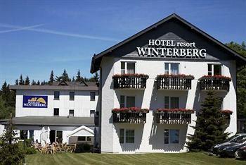 Hotel Winterberg Resort