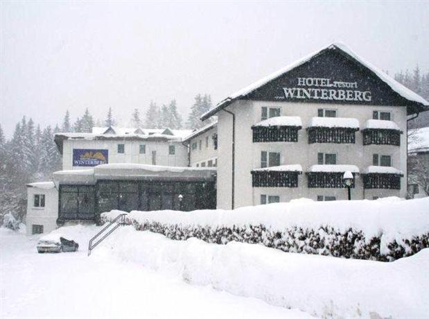 Hotel Winterberg Resort