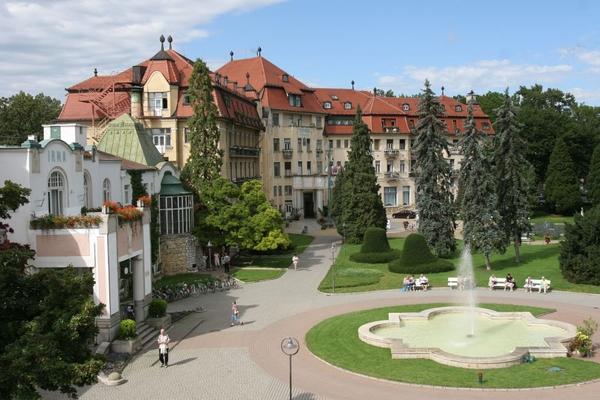Health Spa Resort Hotel Thermia Palace Balneologicke Muzeum Slovakia thumbnail