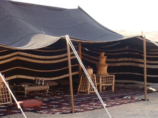 Arabian Oryx Camp