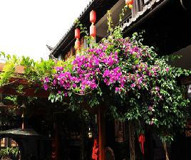 Peony Garden Hostel