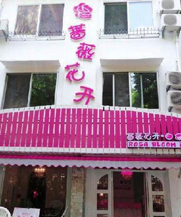 阳朔蔷薇花开白房子