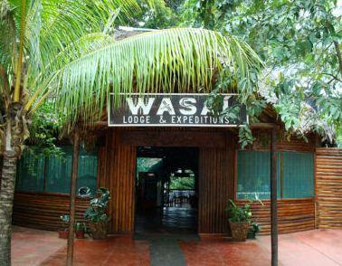 Wasai Tambopata
