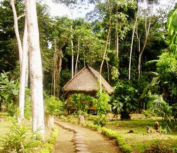 Wasai Tambopata