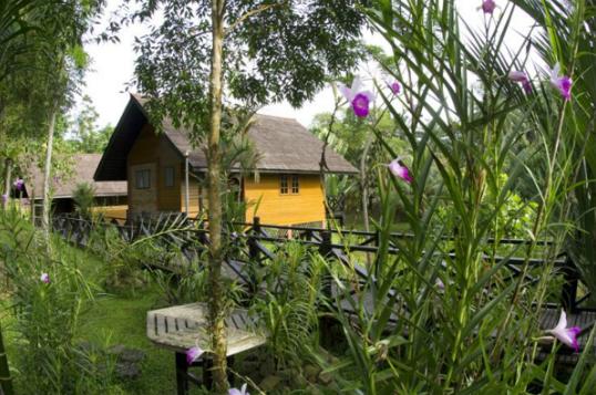 Sepilok Nature Resort