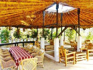 Hotel Kanha Treasure In Forest