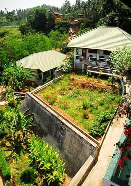 Samui dojo Resort