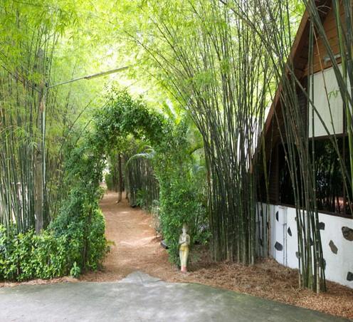 Milky Bay Resort Ban Tai