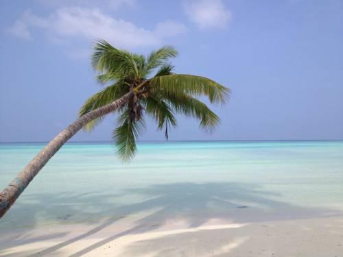 馬爾代夫幻想潛水度假村 reveries diving village maldives