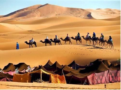 Camel Trek Bivouac - Merzouga - 
