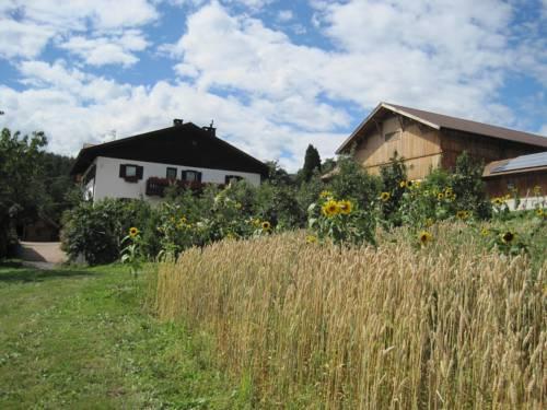 Haflingerhof Jenesien - dream vacation