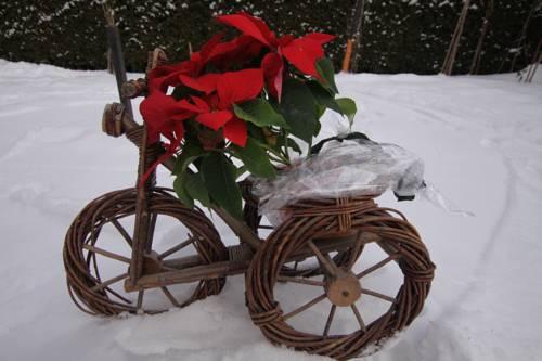 Haus Christlum Achenkirch Compare Deals