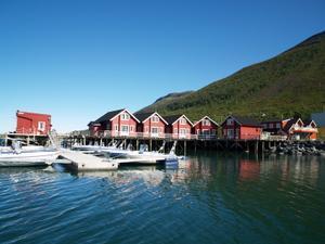 Lyngen Havfiske & Tursenter