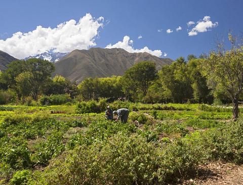 Tambo del Inka a Luxury Collection Resort & Spa