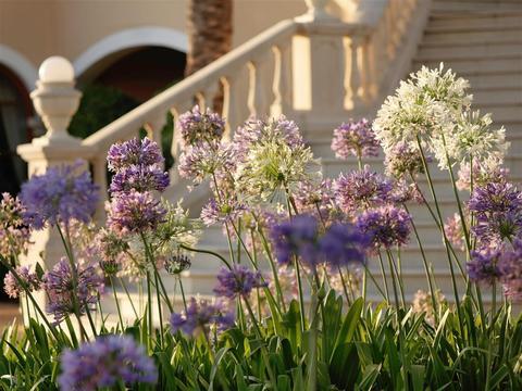 The St Regis Mardavall Mallorca Resort
