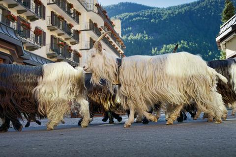 Mont Cervin Palace Zermatt