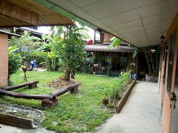 SDT Home