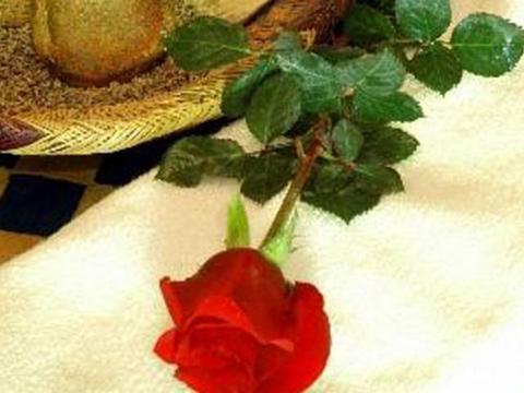 Riad Dalia