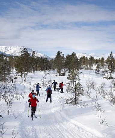 Hardanger Hotel