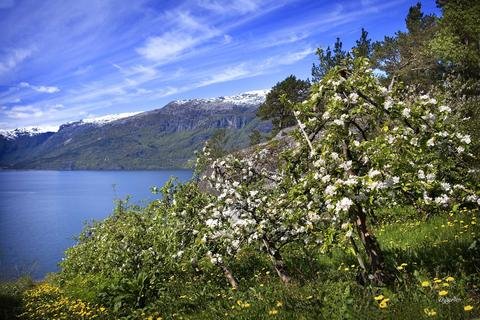Hardanger Hotel