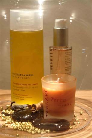 Novotel SPA Rennes Centre Gare