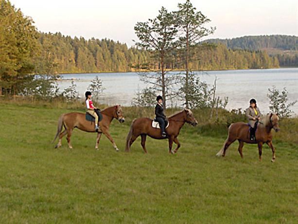 Holiday Home Lepikko