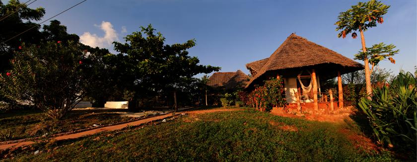 Mabwe Roots Bungalows 