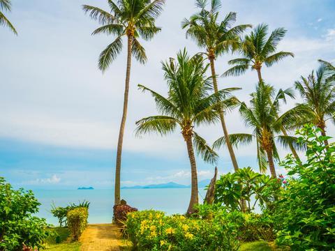 Monsoon Beach Villas