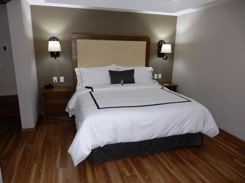 Hotel Historico Central