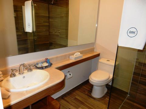Hotel Historico Central