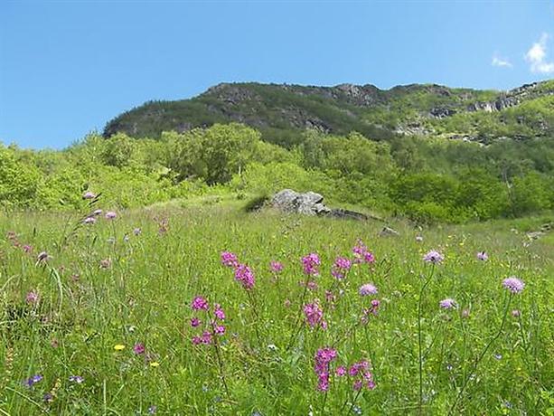 Skjolden