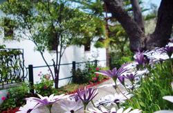 Margianou Apartments