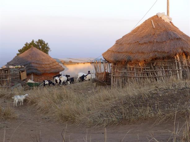 Swazi Village Homestay