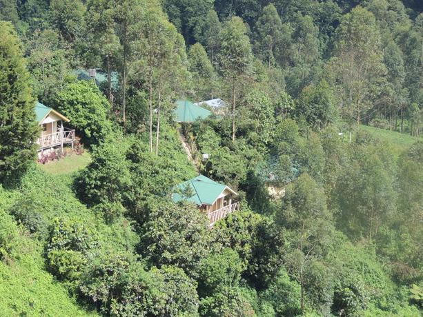 Gorilla Safari Lodge Kabale Uganda thumbnail