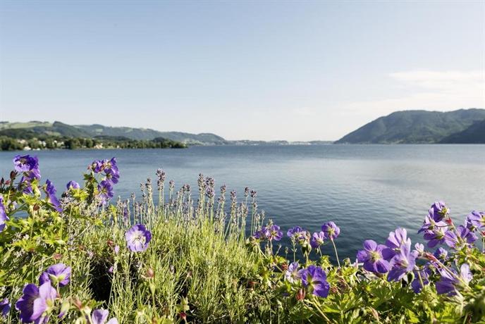 Seehotel Das Traunsee