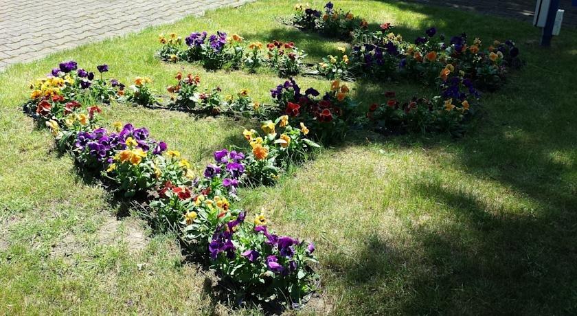 a v namai, 帕兰加 - 查询比价预订