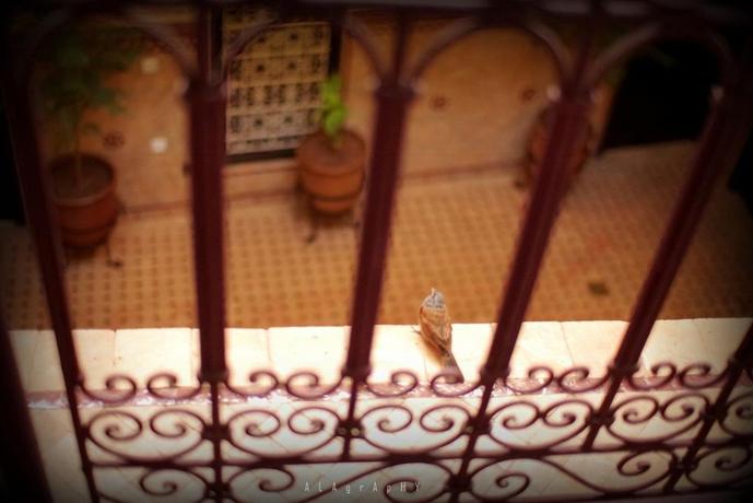 Riad Hotel Marraplace