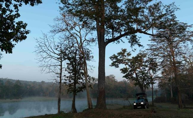 The Serai Kabini