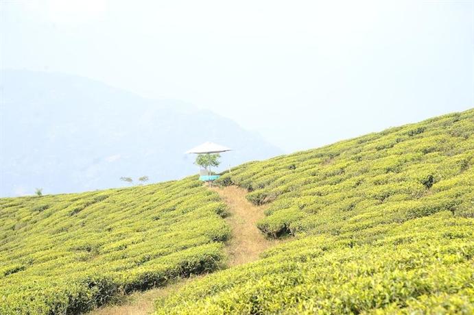 Singtom Tea Estate & Resort