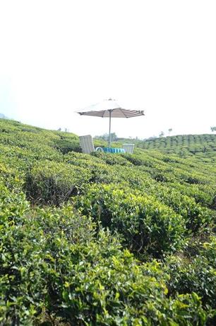 Singtom Tea Estate & Resort