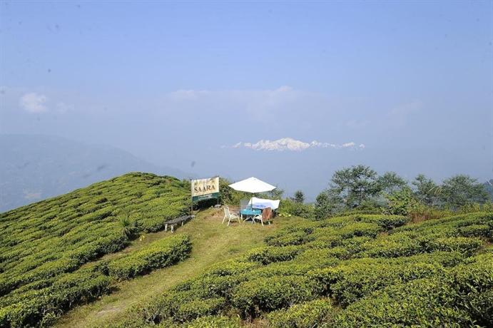 Singtom Tea Estate & Resort
