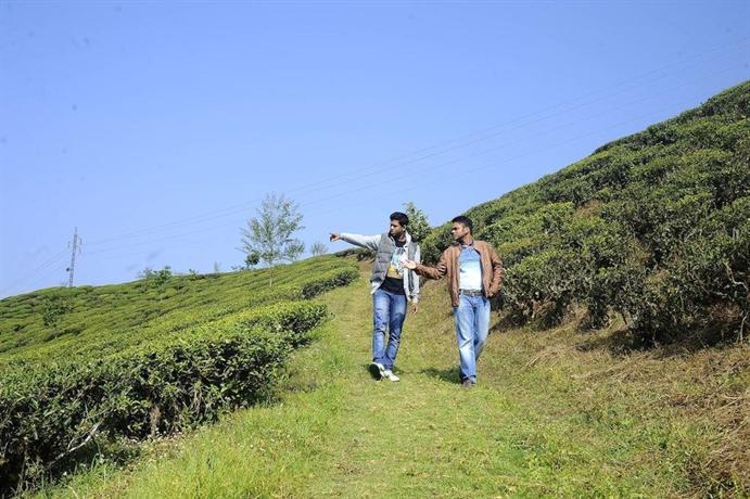 Singtom Tea Estate & Resort