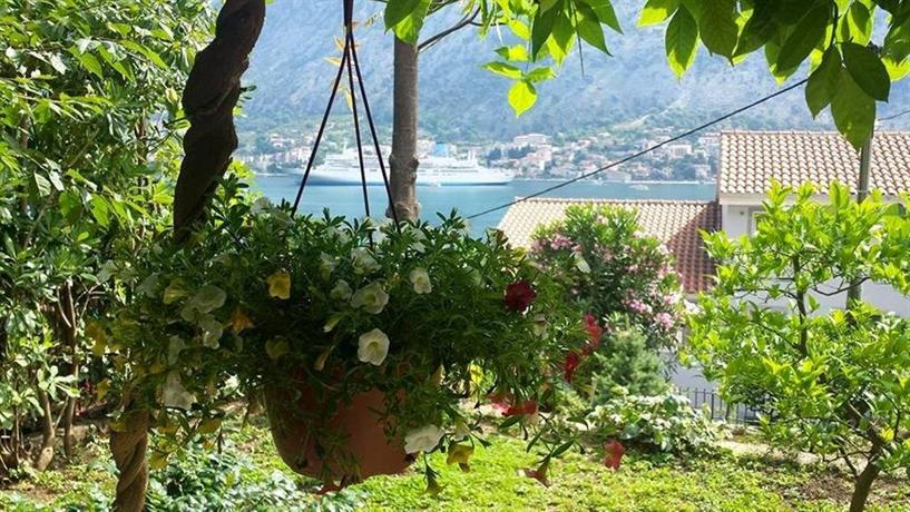 Apartments Andrija Kotor