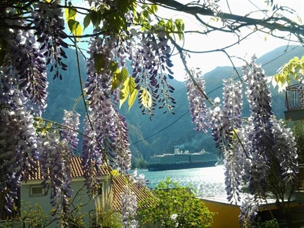 Apartments Andrija Kotor