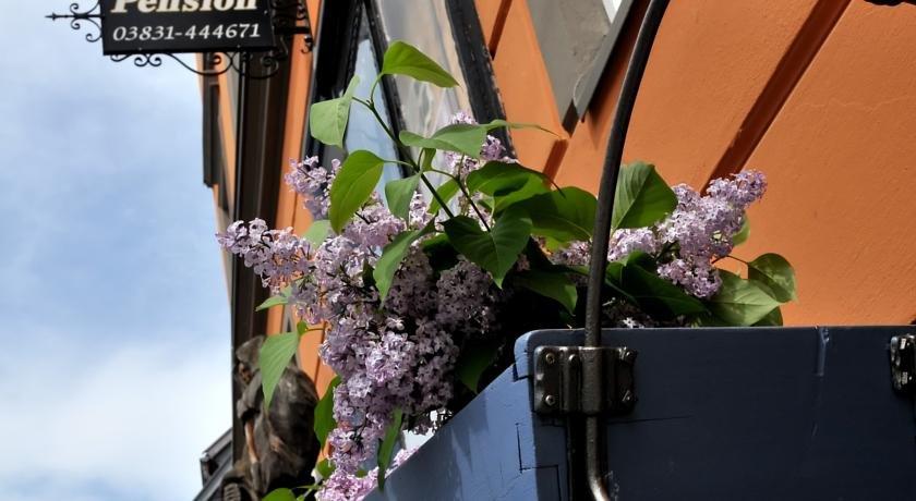 Pension Altstadt Monch