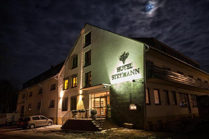 Aktiv Hotel Winterberg 에를레프니스베르크 카페 Germany thumbnail