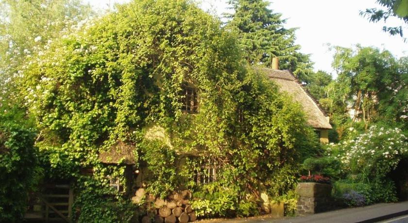 Wizards Thatch Luxury Suites